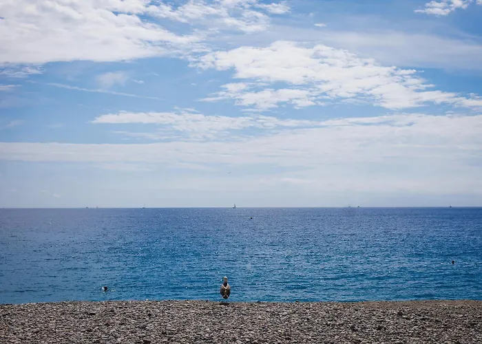 Et Salsa, Promenade Des *